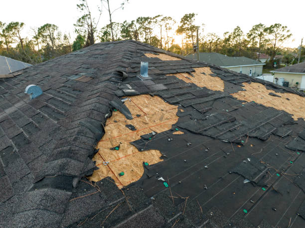 Roof Insulation Installation in Jacksonville, TX